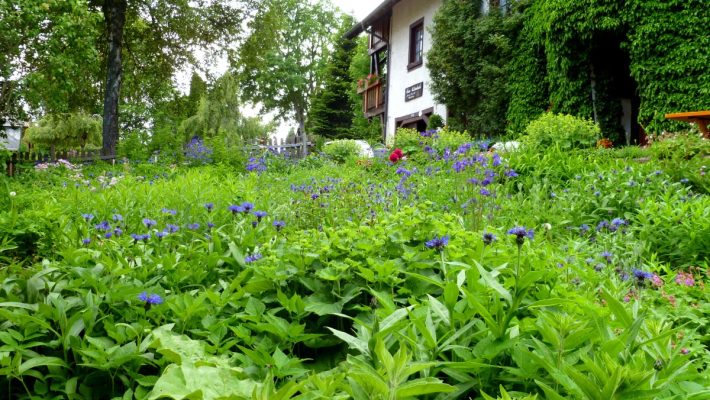 Ferienhaus Kaltenbach in Lenzkirch-Saig im Schwarzwald